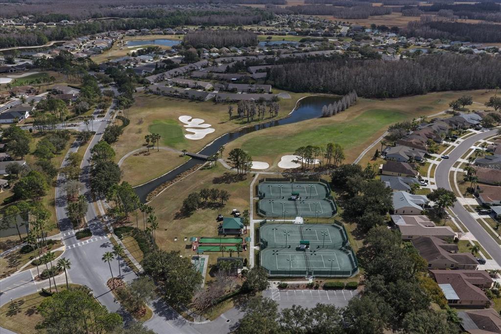 1237 Rambling Vine Court Trinity, FL 34655 - Photo 74 of 76