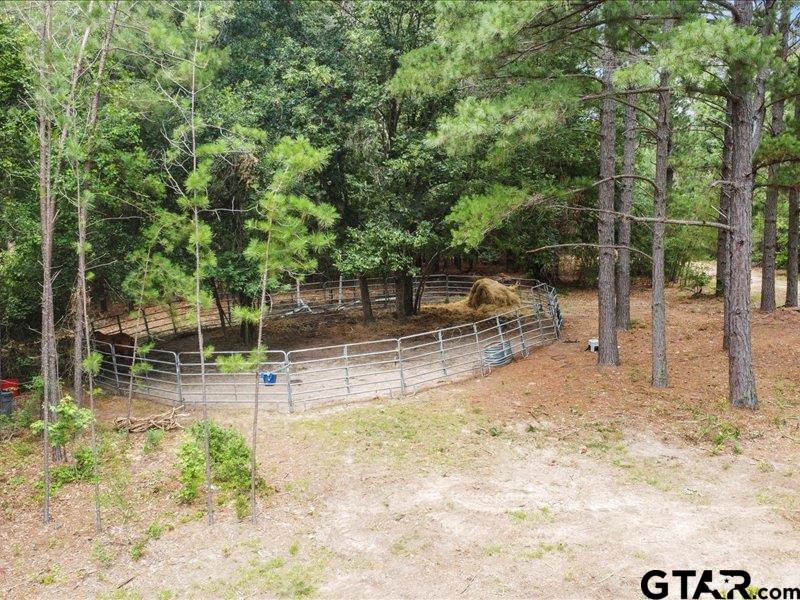 3381 County Road 452 Palestine, TX 75803 - Photo 39 of 45