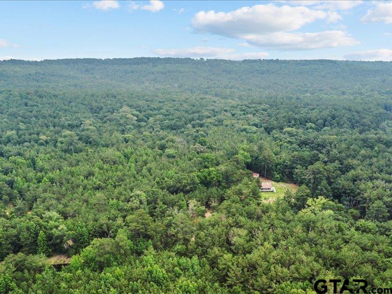 3381 County Road 452 Palestine, TX 75803 - Photo 41 of 45