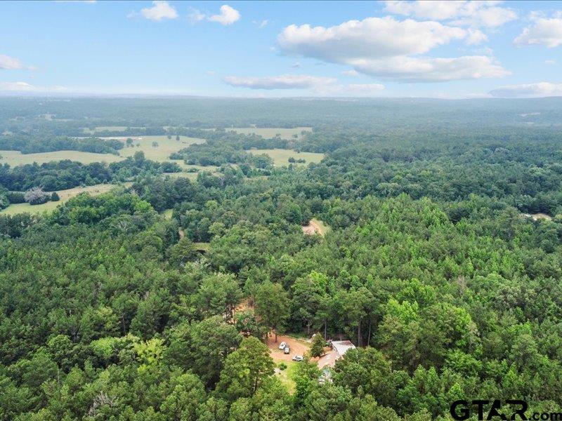 3381 County Road 452 Palestine, TX 75803 - Photo 43 of 45