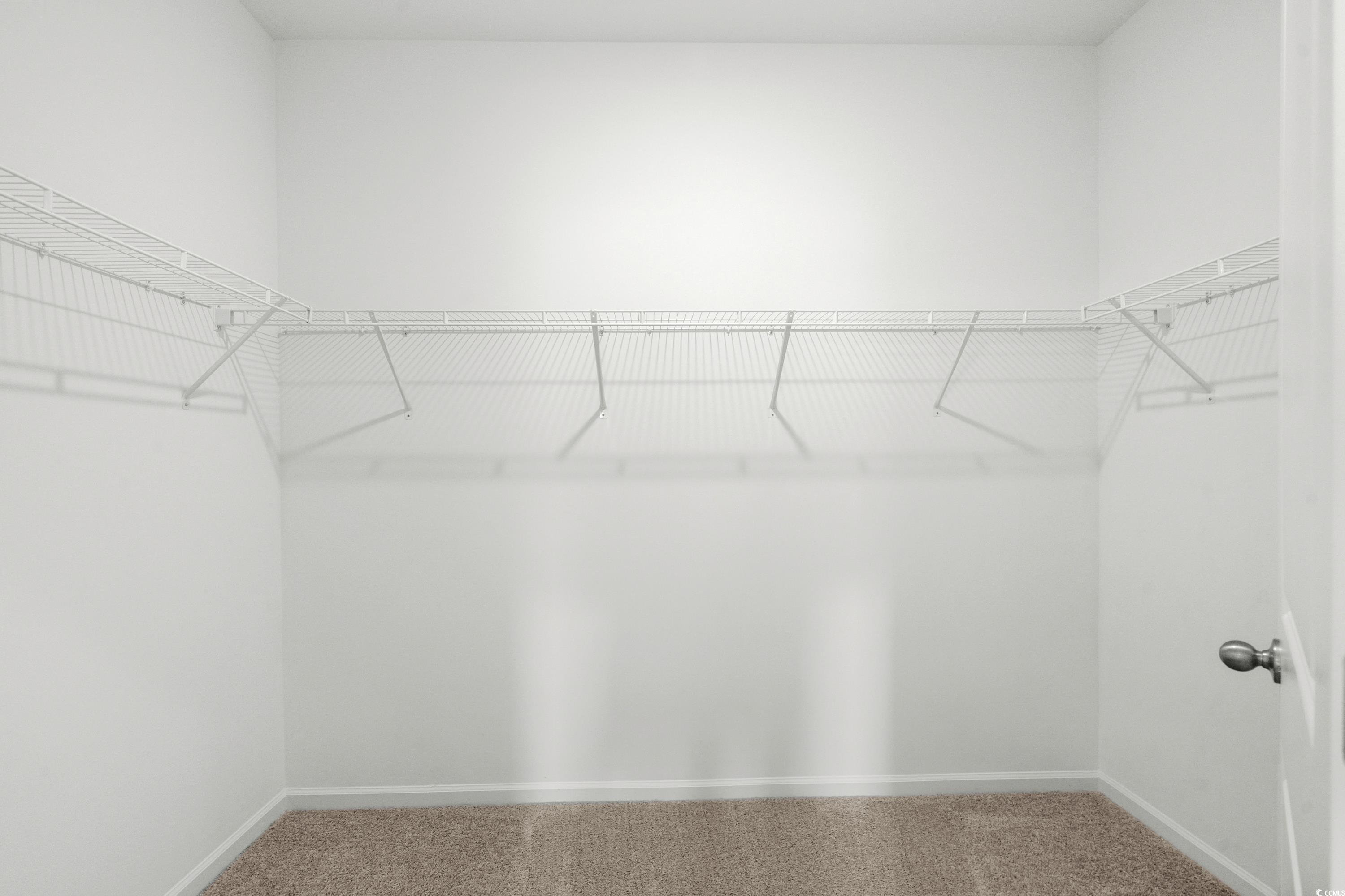 435 Castillo Drive Longs, SC 29568 - Photo 20 of 27 Spacious closet with light carpet