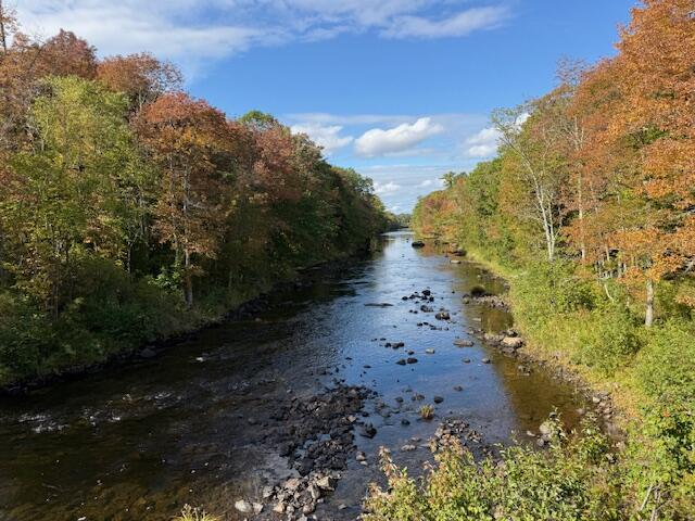 47 River Road Dennysville, ME 04628 - Photo 15 of 85 Dennys River near bridge2