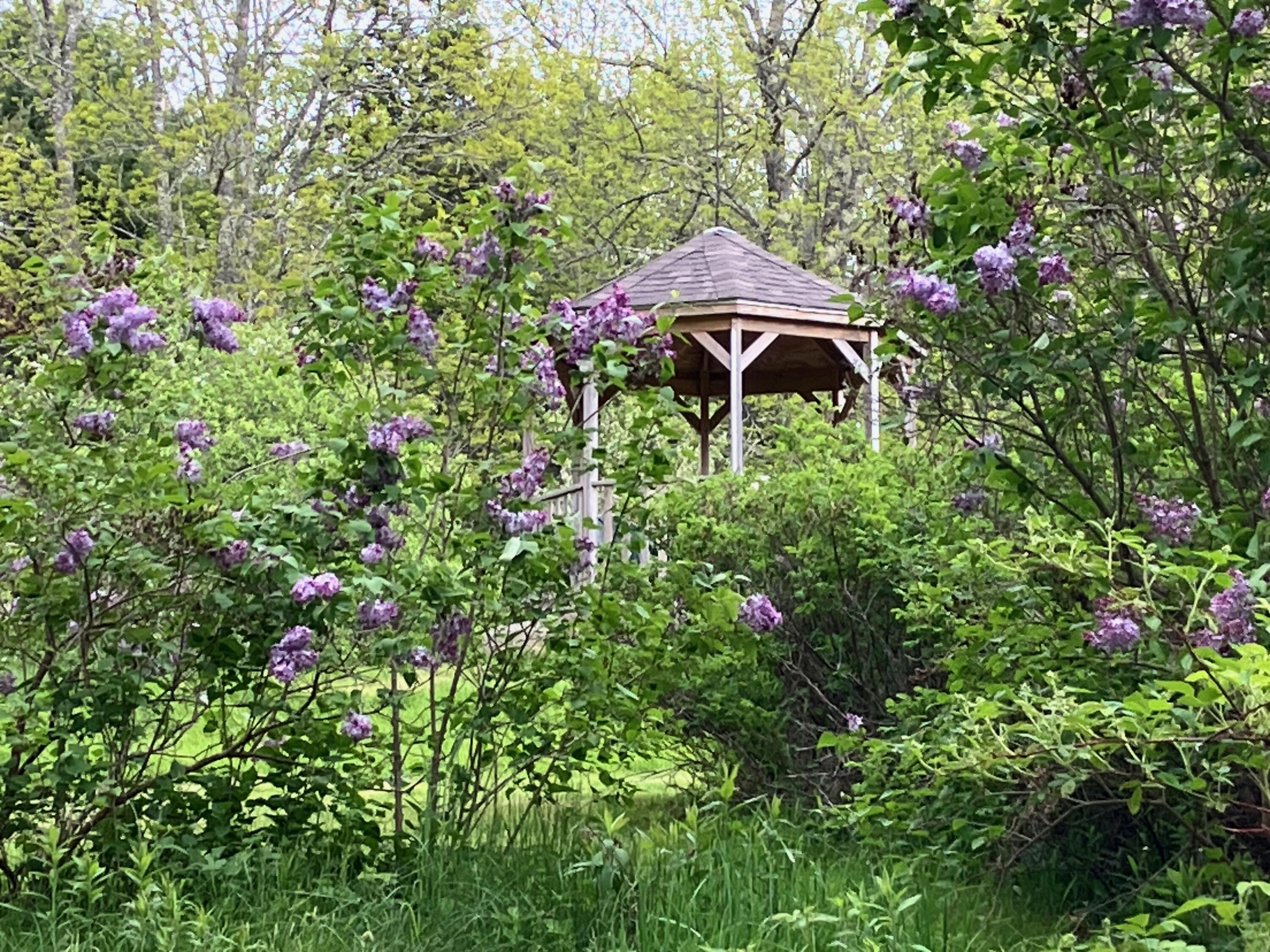 47 River Road Dennysville, ME 04628 - Photo 19 of 85 IMG_3270