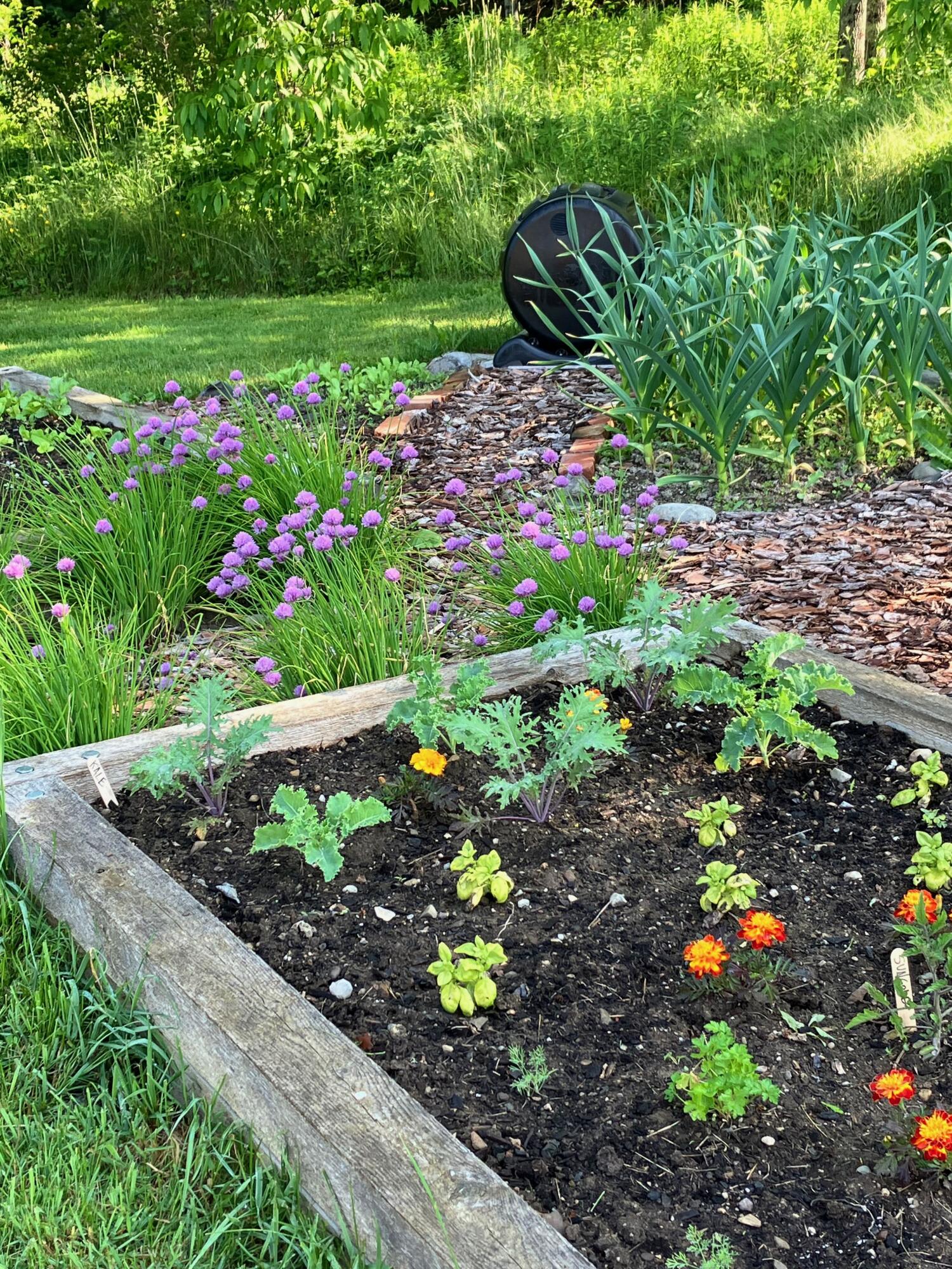 47 River Road Dennysville, ME 04628 - Photo 23 of 85 IMG_3400