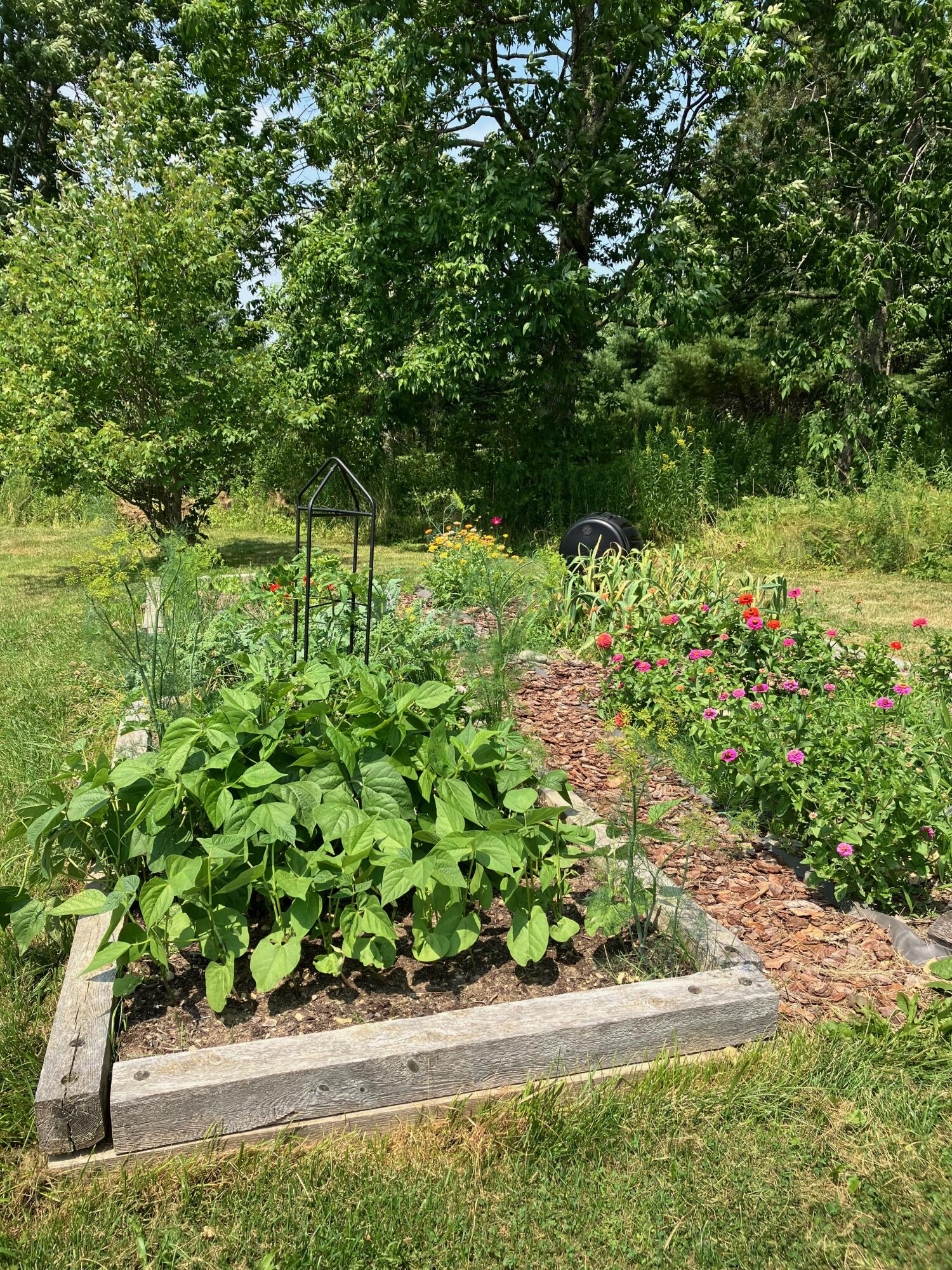 47 River Road Dennysville, ME 04628 - Photo 24 of 85 IMG_3550