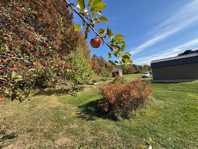 47 River Road Dennysville, ME 04628 - Photo 25 of 85 IMG_5569