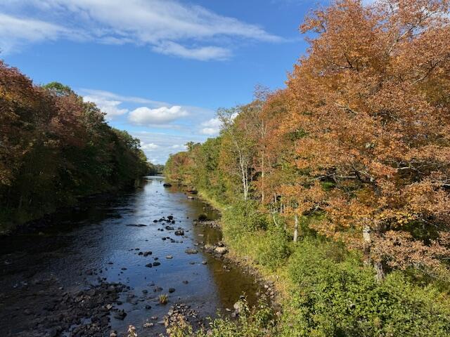 47 River Road Dennysville, ME 04628 - Photo 82 of 85 Dennys River near bridge