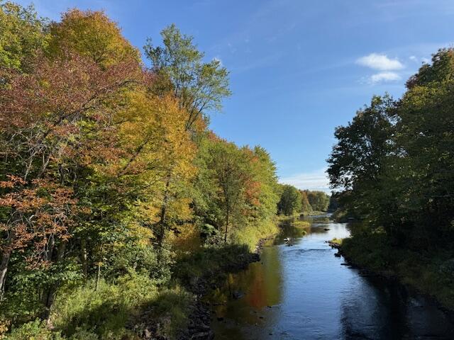 47 River Road Dennysville, ME 04628 - Photo 84 of 85 Dennys River other direction from bridge