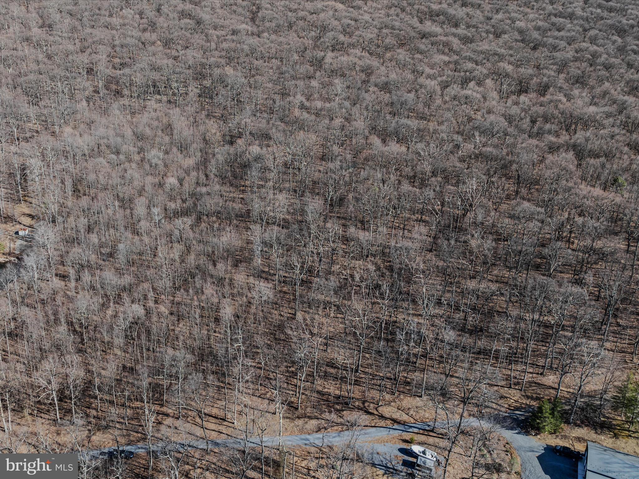 Spring Drive Berkeley Springs, WV 25411 - Photo 9 of 18 Aerial View