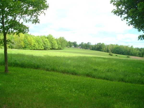 1379 W Road Ashfield, MA 01330 - Photo 29 of 30 a view of field with grass and trees
