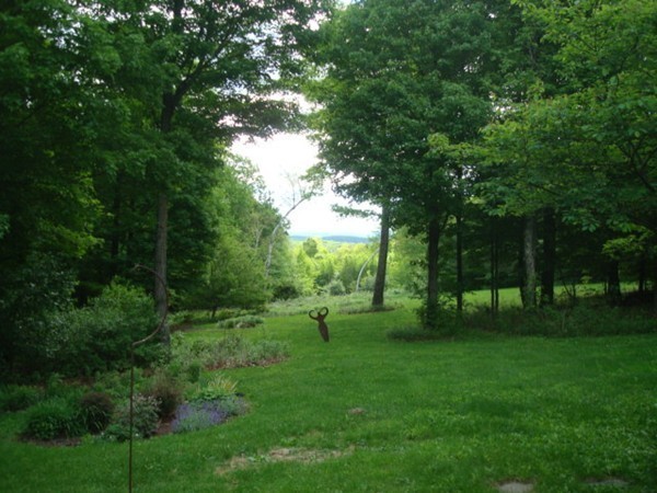 1379 W Road Ashfield, MA 01330 - Photo 5 of 30 a ground with lots of trees