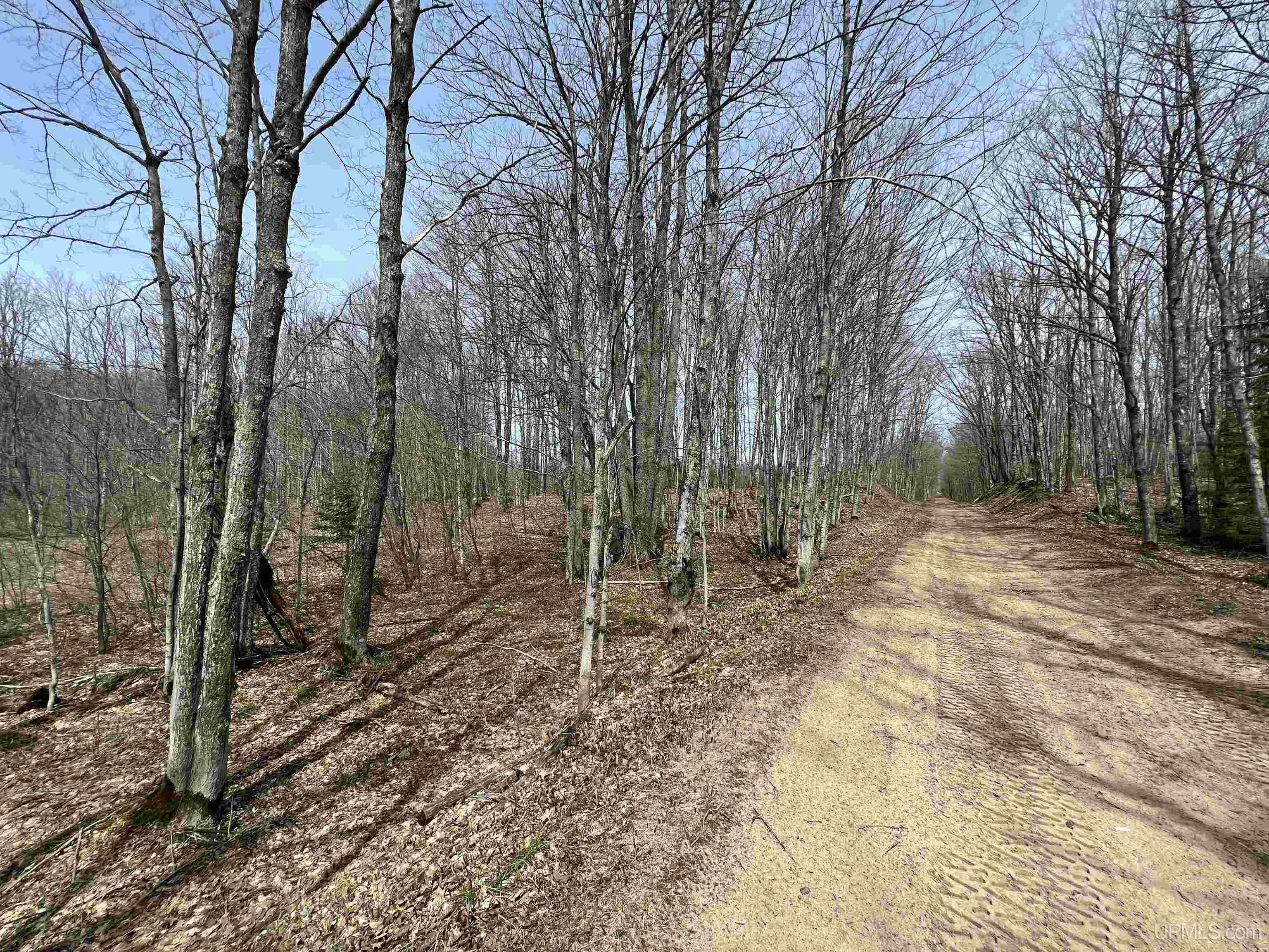 H58 St Shingleton Mi 49895 Shingleton, MI 49884 - Photo 18 of 21