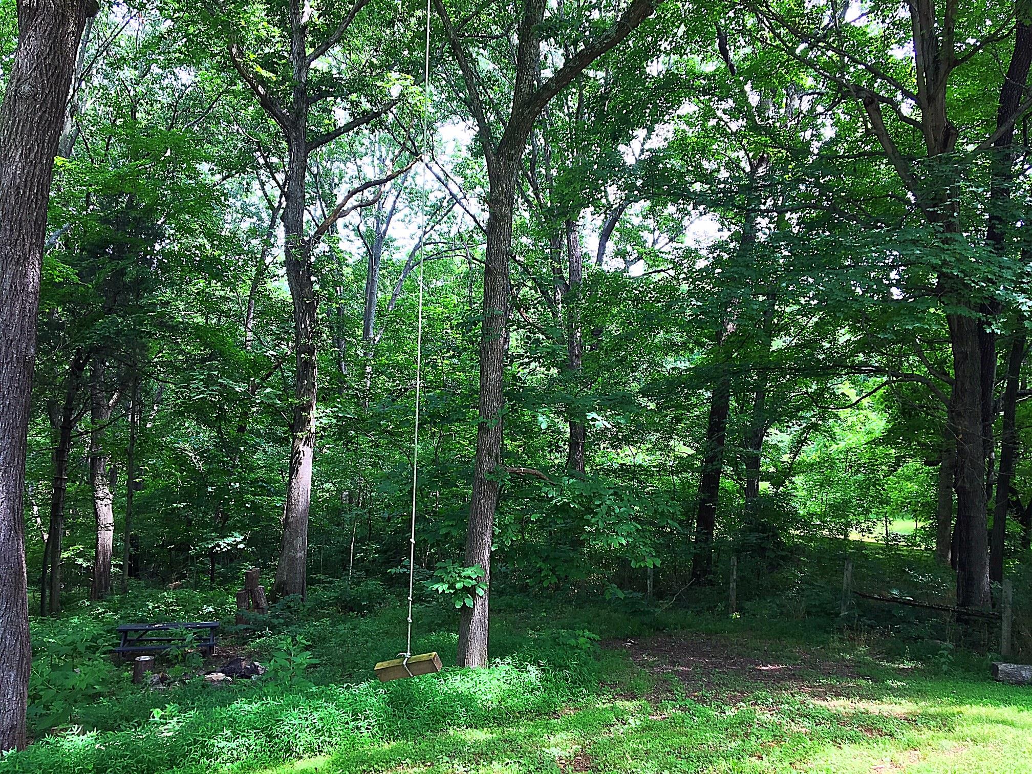 3879 Clarity Road Springfield, TN 37172 - Photo 6 of 28 a view of a forest