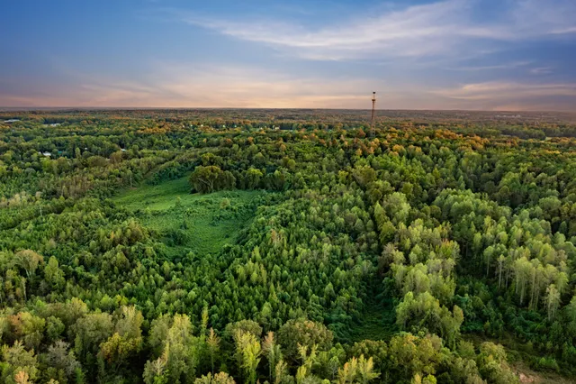 a view of a city with lush green forest