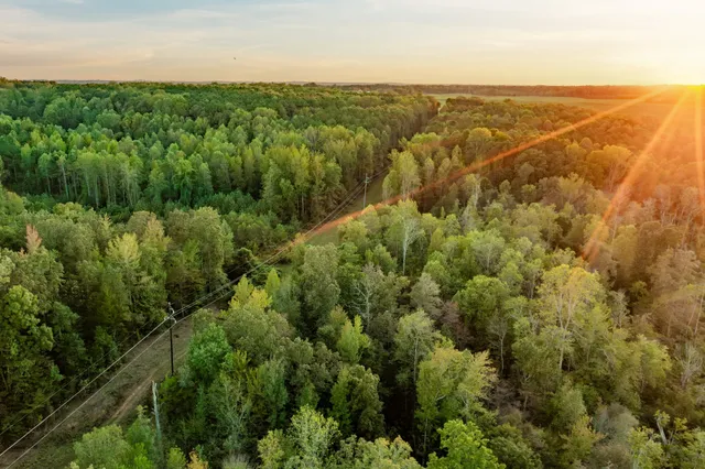 a view of a green field