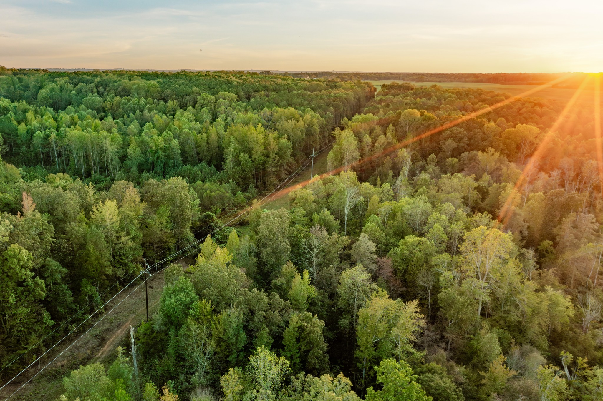 0 Jones Bend Road Paris, TN 38242 - Photo 11 of 44 an aerial view of residential houses with outdoor space and trees