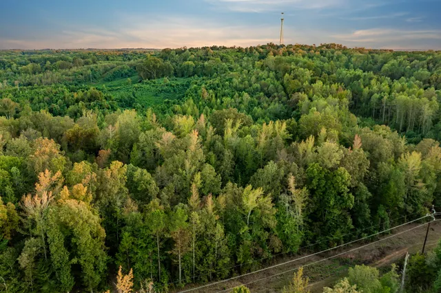 a view of a green field with lots of bushes
