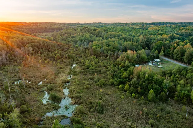 an aerial view of residential houses with outdoor space and trees