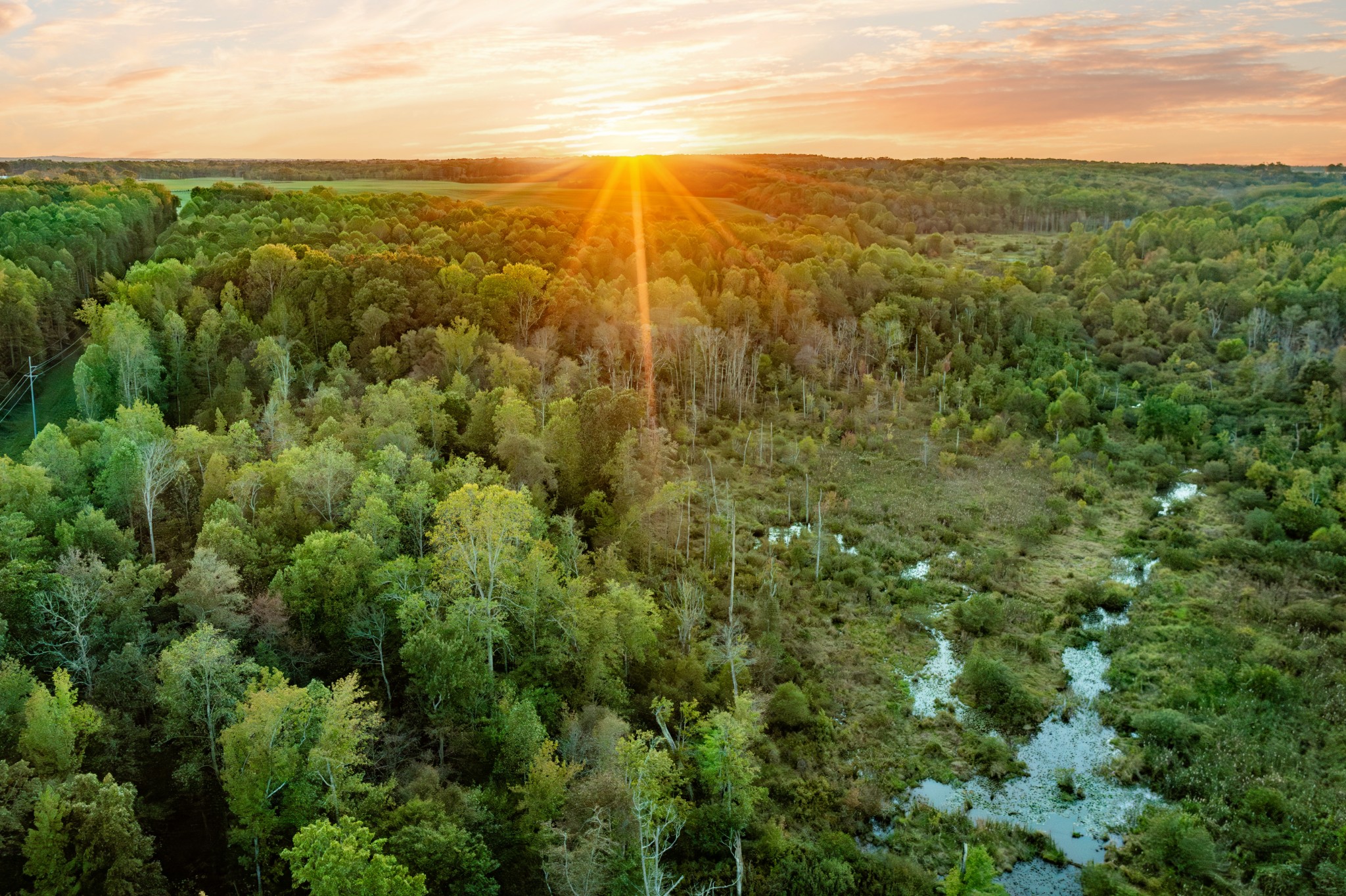 0 Jones Bend Road Paris, TN 38242 - Photo 15 of 44 a view of a lush green field