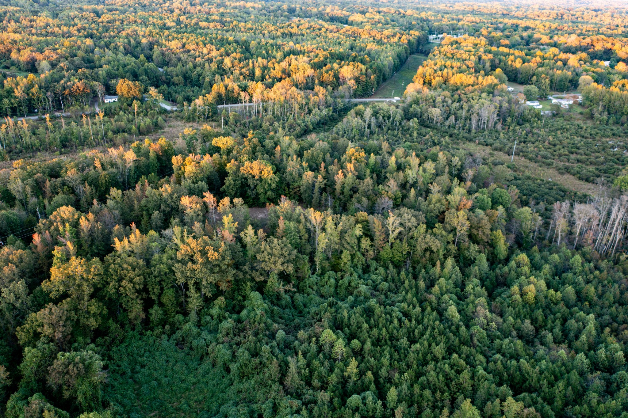 0 Jones Bend Road Paris, TN 38242 - Photo 16 of 44 an aerial view of residential houses with outdoor space and trees