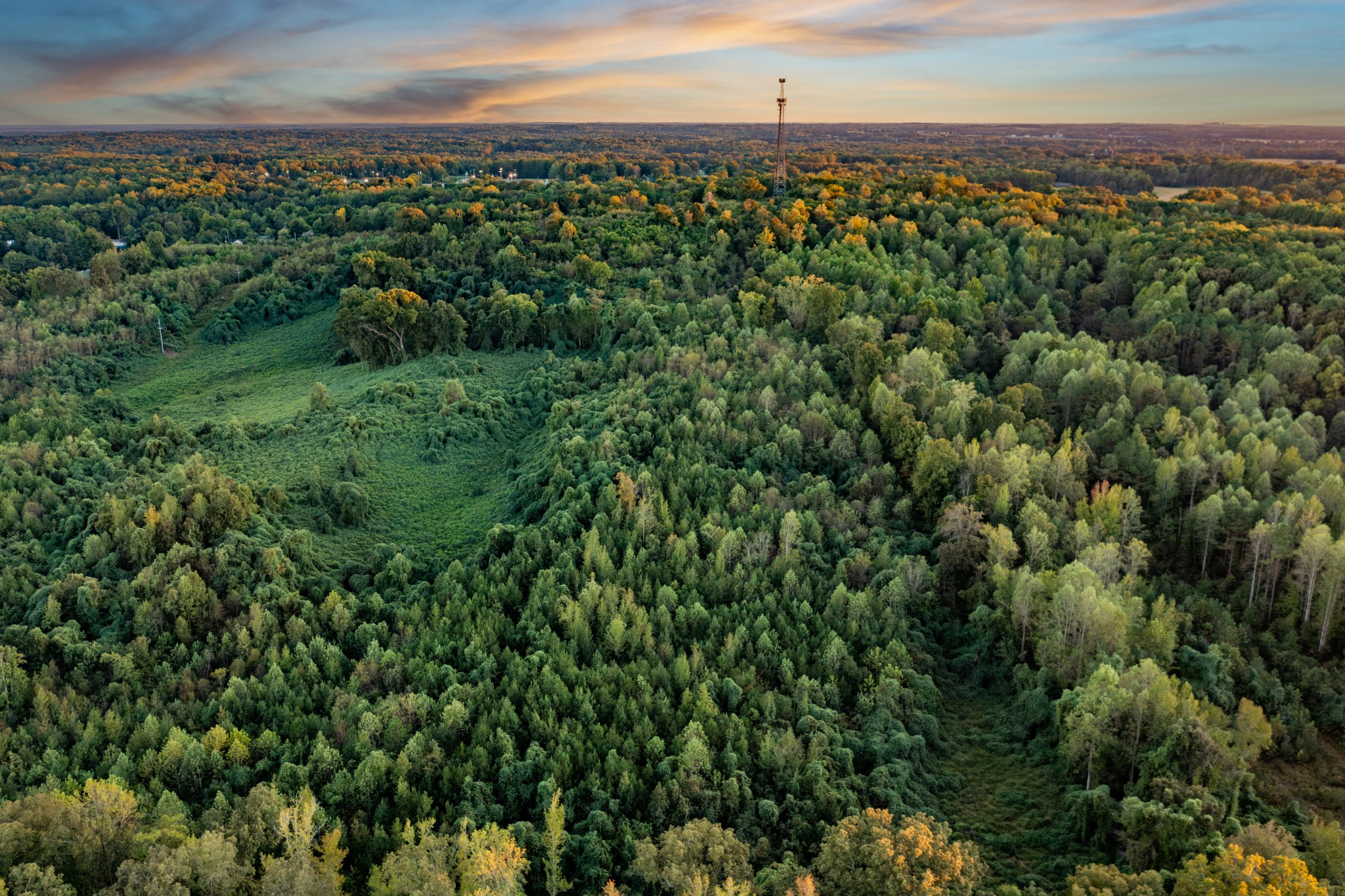 0 Jones Bend Road Paris, TN 38242 - Photo 18 of 44 a view of a city with lush green forest