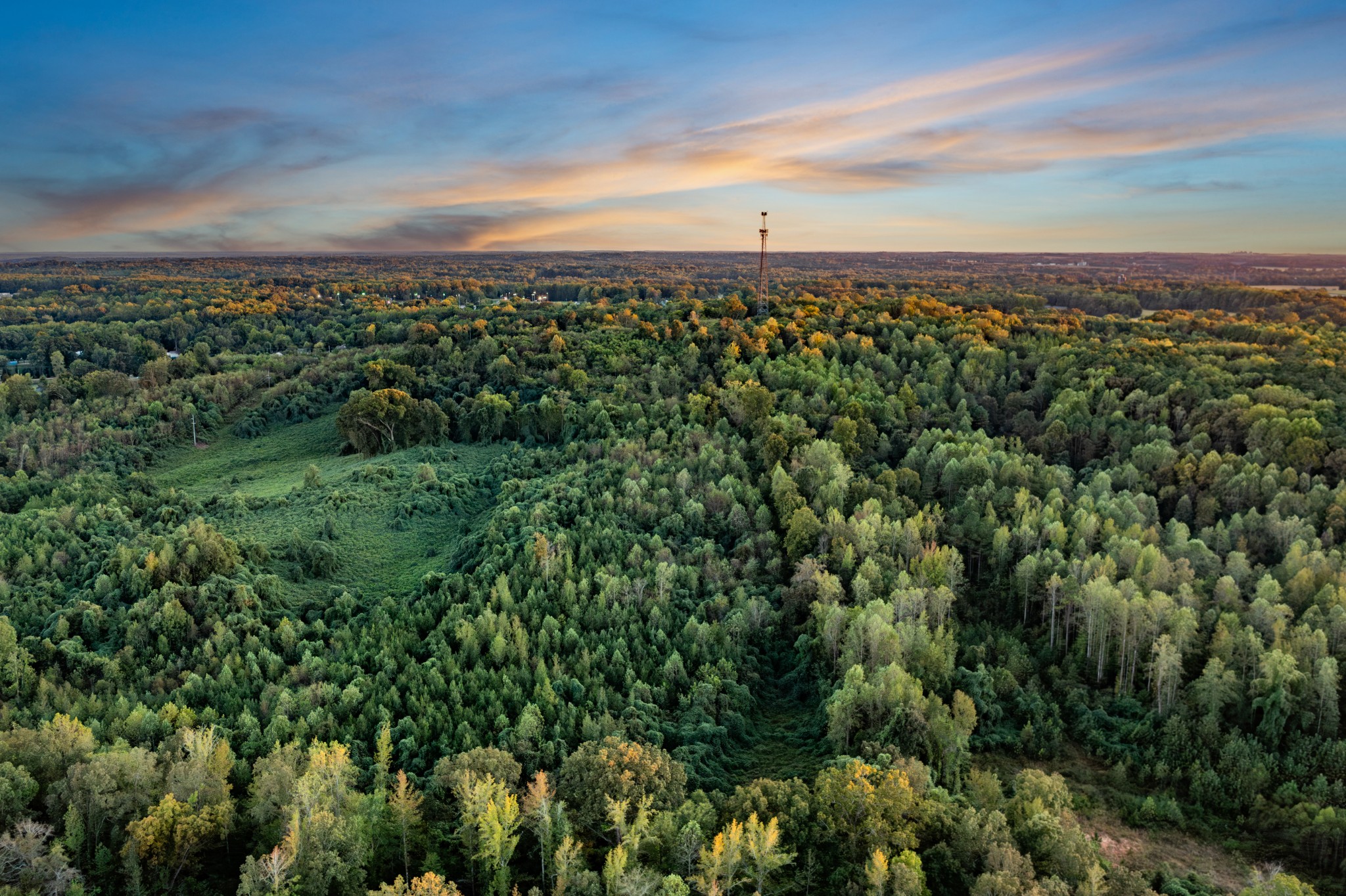 0 Jones Bend Road Paris, TN 38242 - Photo 19 of 44 an aerial view of residential houses with outdoor space and trees