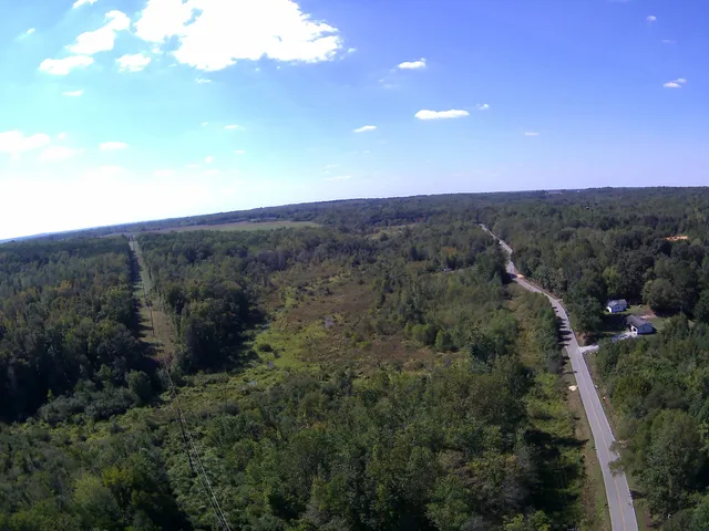a view of a city with lush green forest