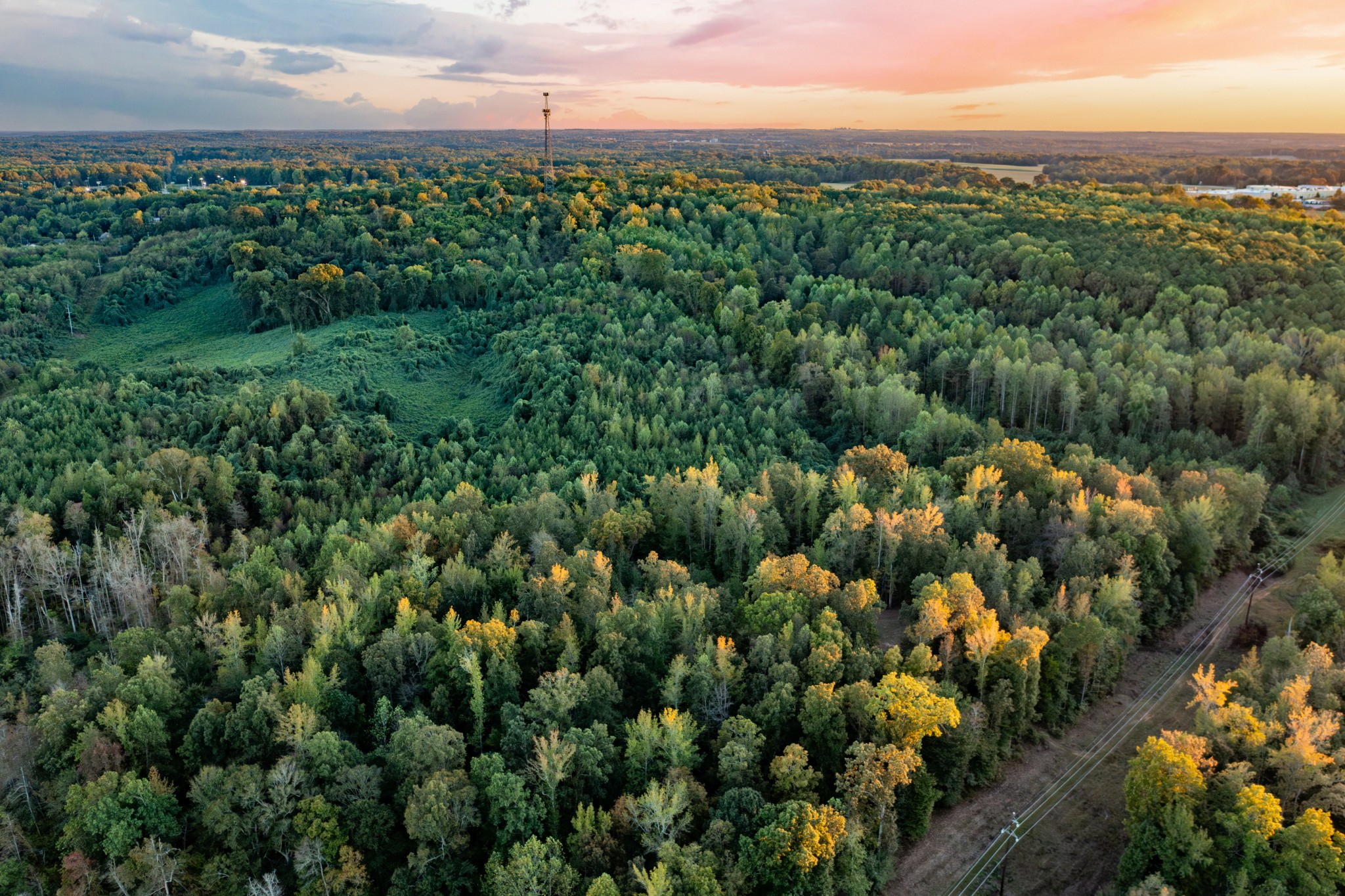 0 Jones Bend Road Paris, TN 38242 - Photo 25 of 44 a view of a city