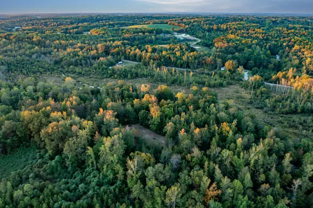 a view of a city with lush green forest