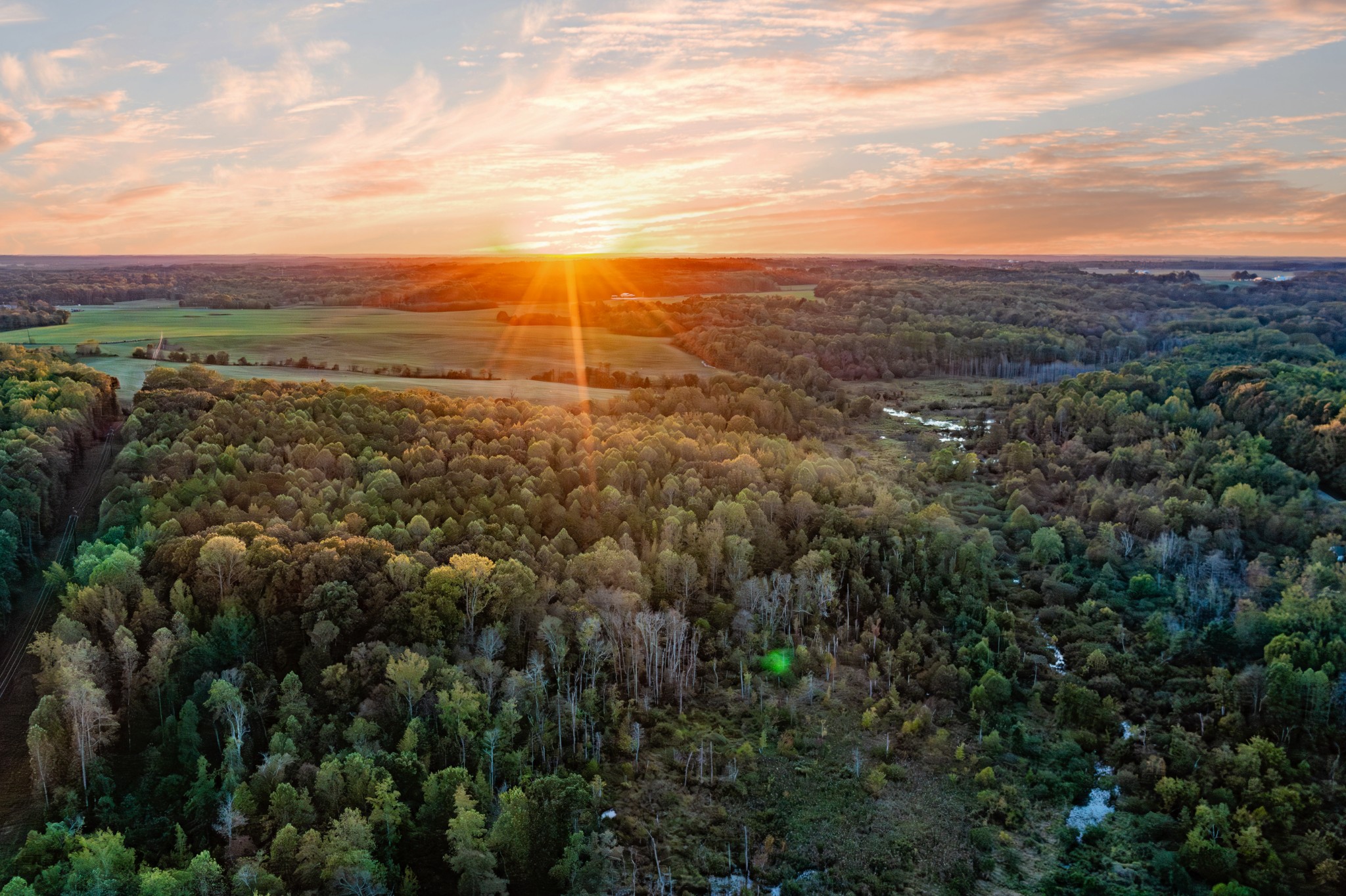 0 Jones Bend Road Paris, TN 38242 - Photo 30 of 44 a view of a city with lush green forest