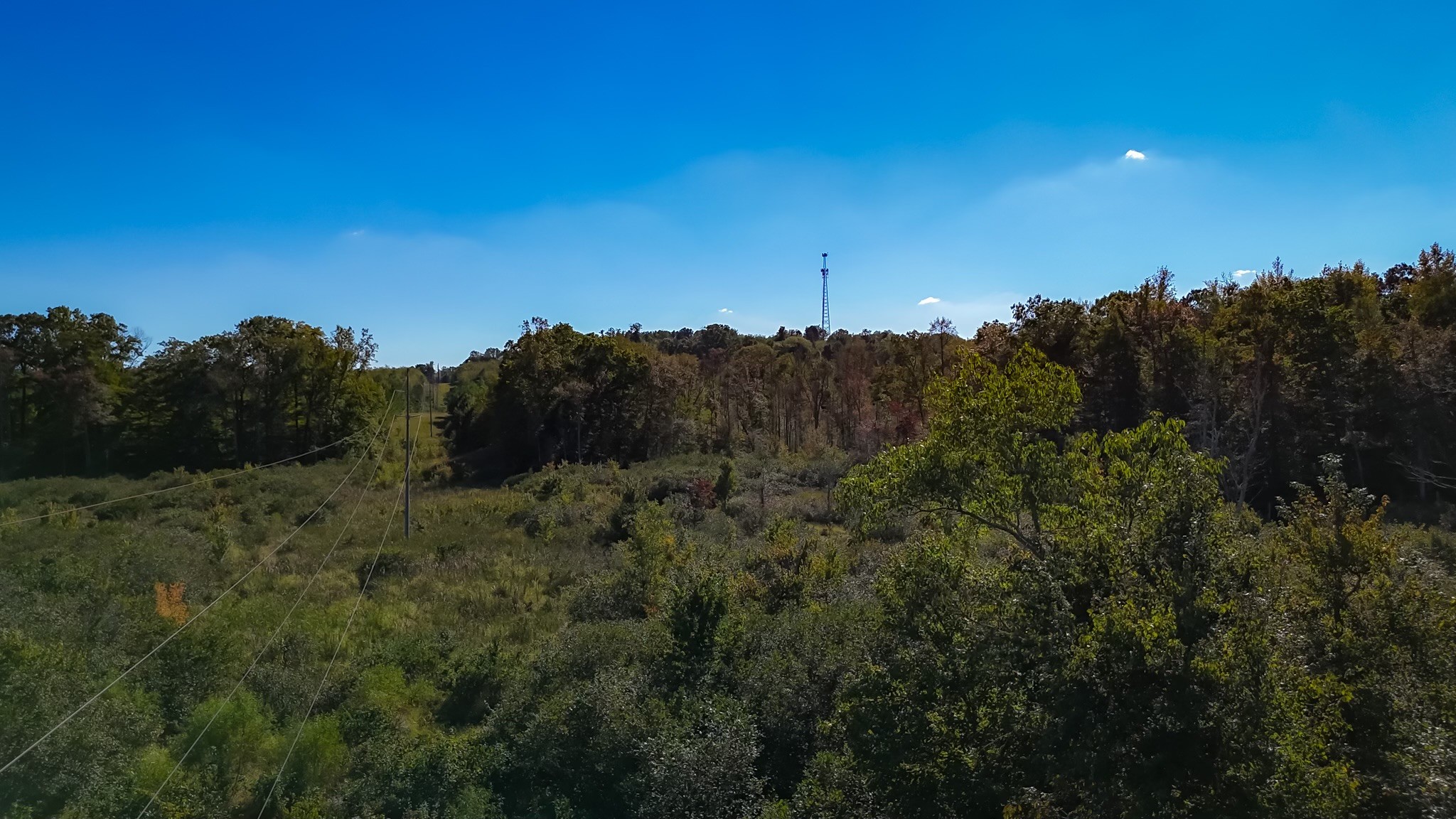 0 Jones Bend Road Paris, TN 38242 - Photo 3 of 44