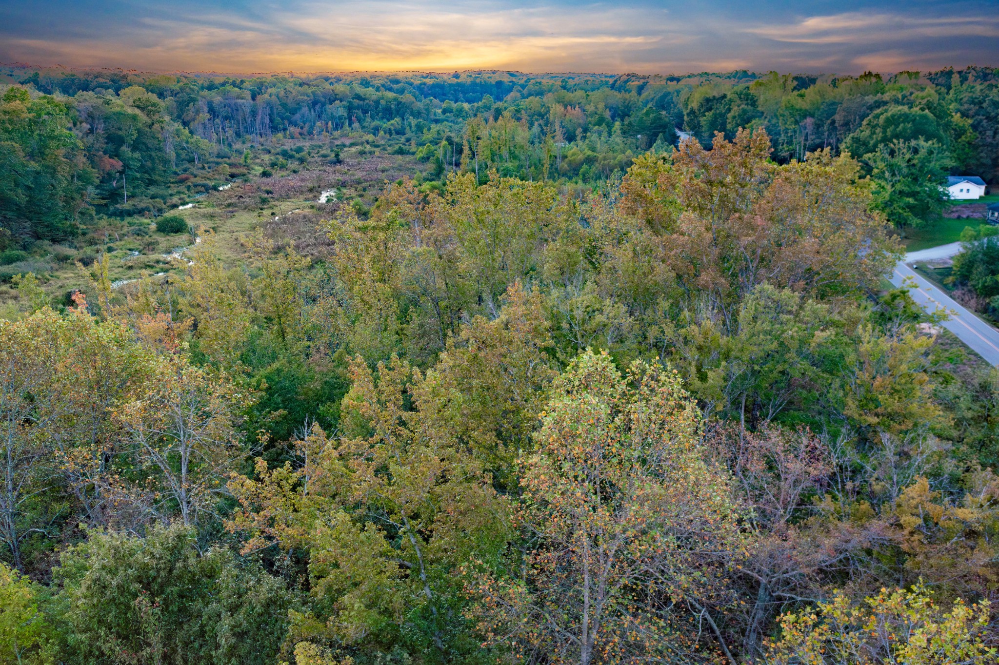 0 Jones Bend Road Paris, TN 38242 - Photo 33 of 44 a view of a forest with a street