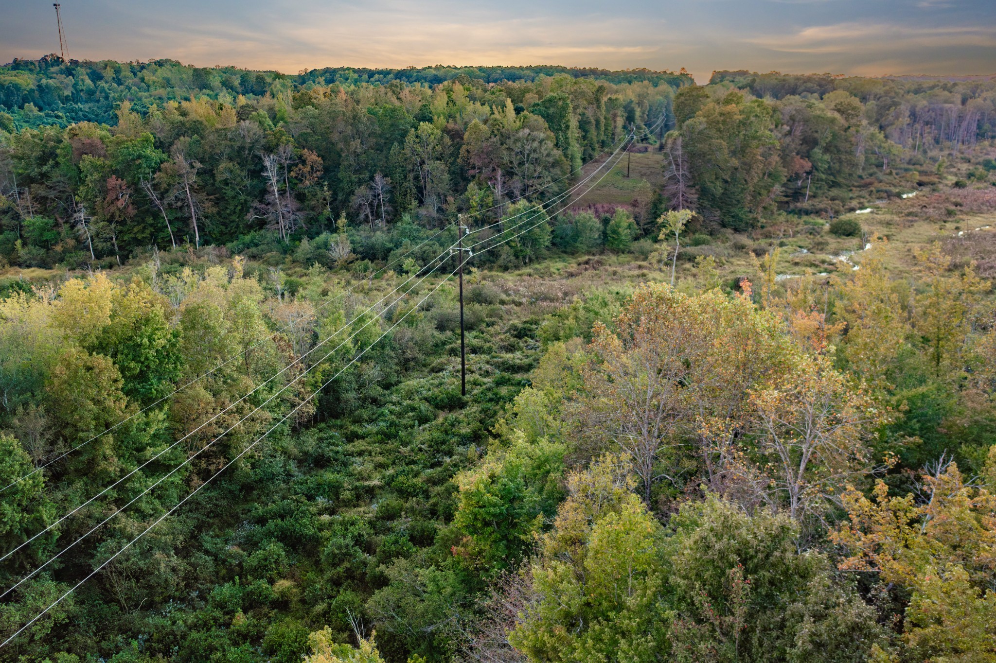 0 Jones Bend Road Paris, TN 38242 - Photo 34 of 44 a view of a lush green forest with trees and houses
