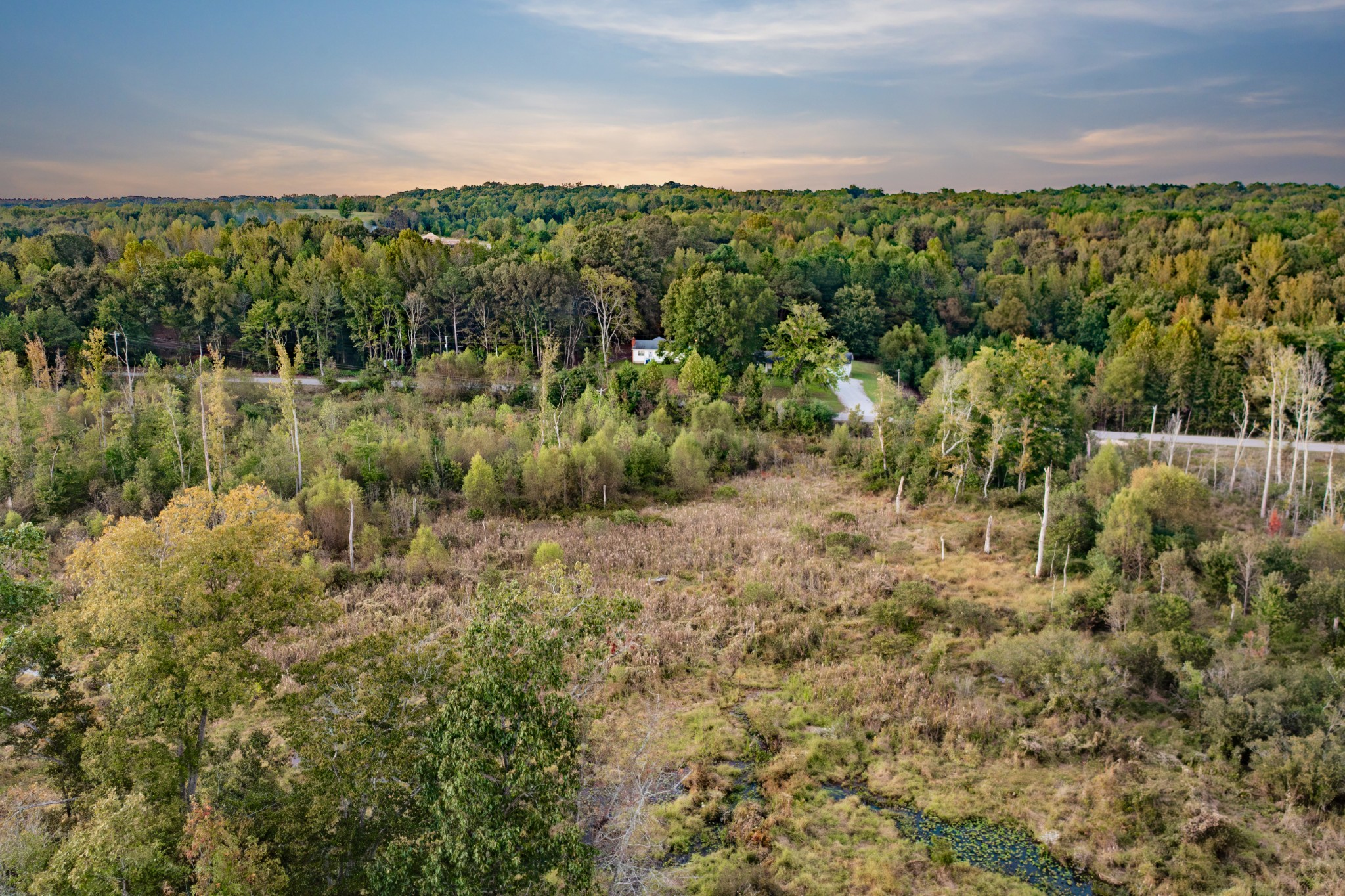 0 Jones Bend Road Paris, TN 38242 - Photo 36 of 44 a view of a forest with a lake
