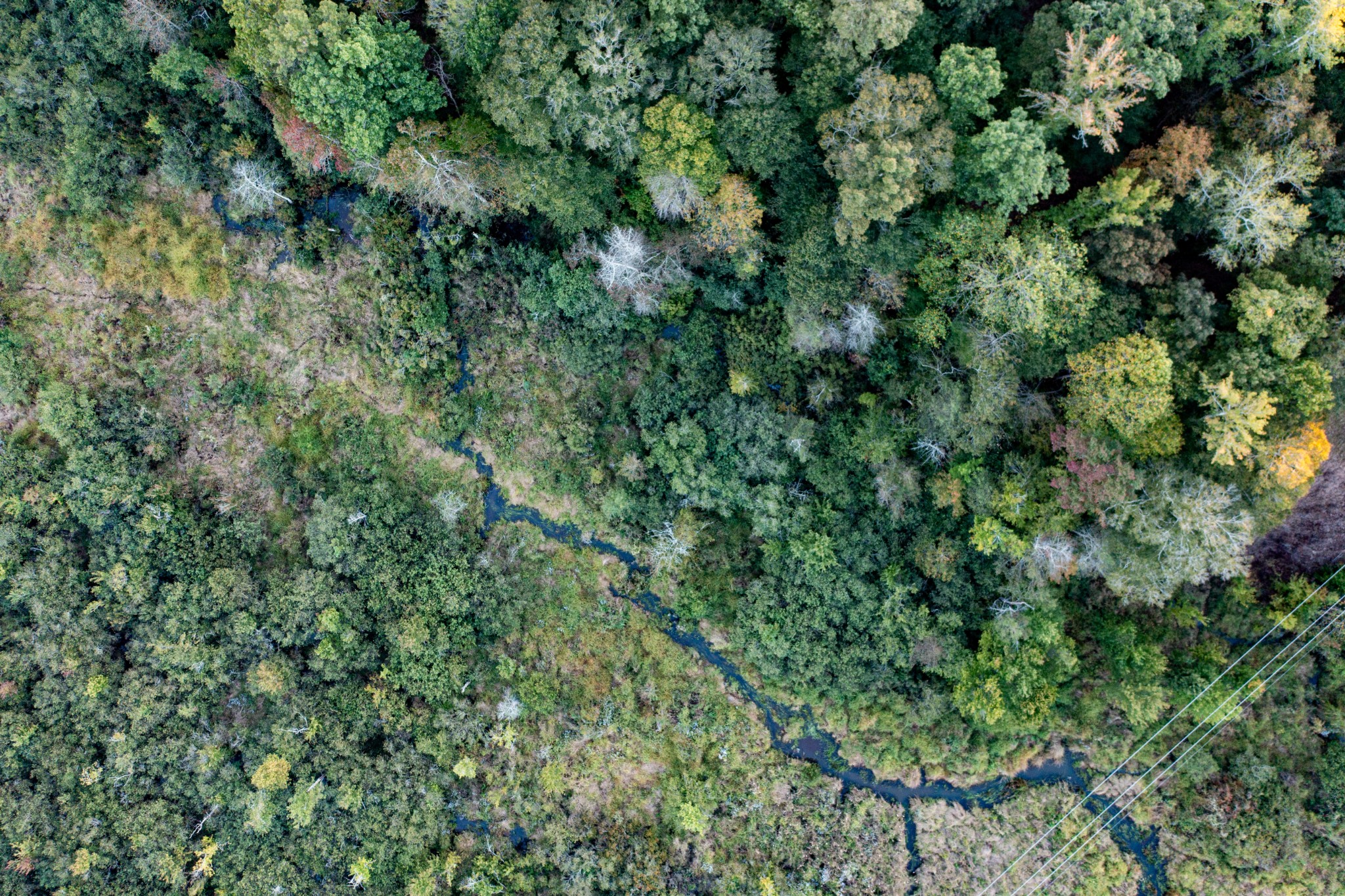 0 Jones Bend Road Paris, TN 38242 - Photo 37 of 44 an aerial view of residential house with outdoor space and trees all around