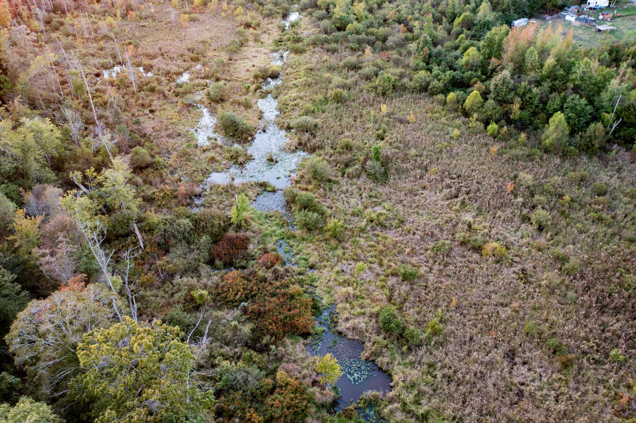 0 Jones Bend Road Paris, TN 38242 - Photo 43 of 44 a view of a yard