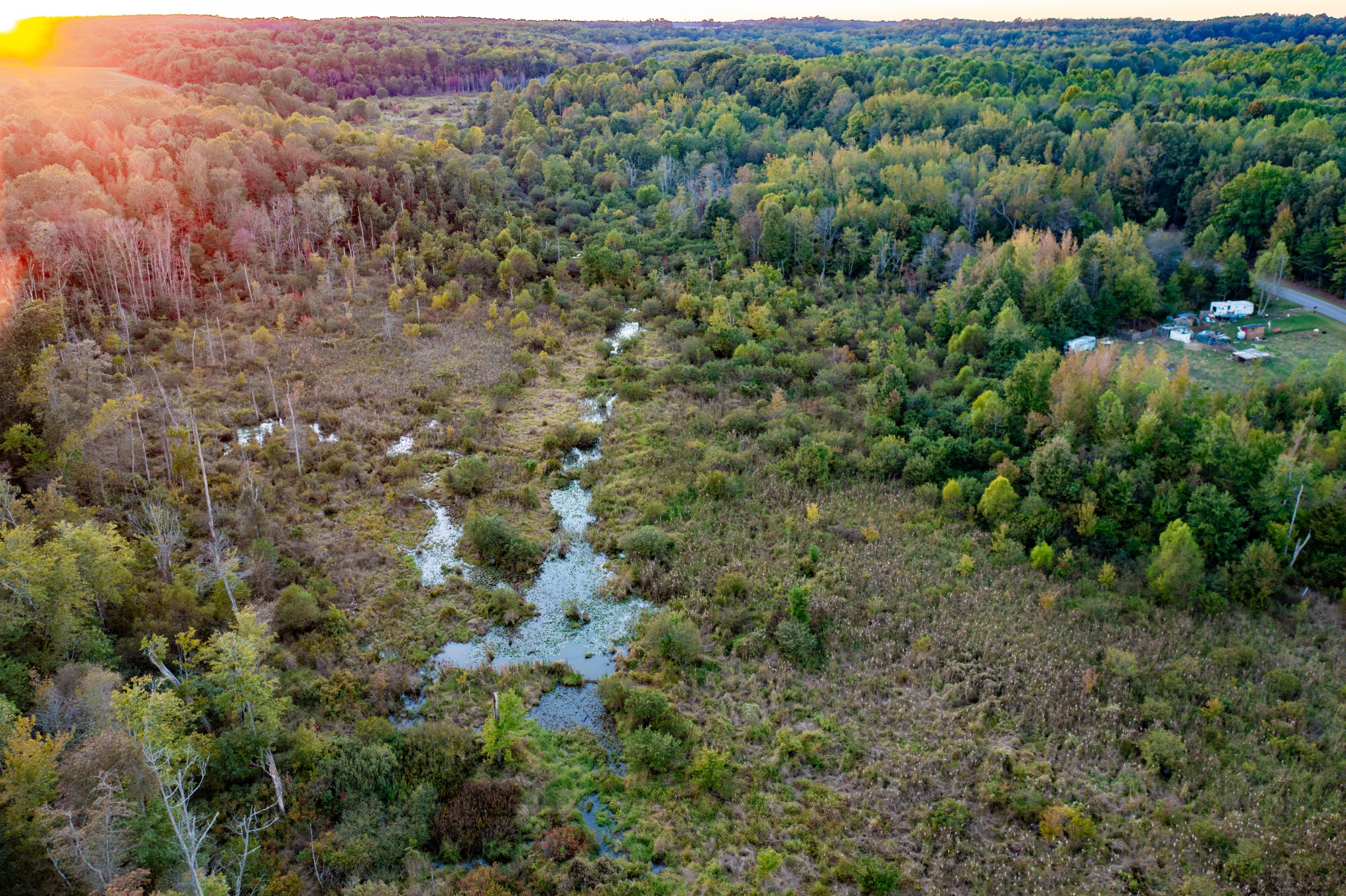0 Jones Bend Road Paris, TN 38242 - Photo 44 of 44 a view of a forest with a street