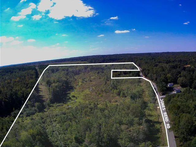 a view of a city with lush green forest