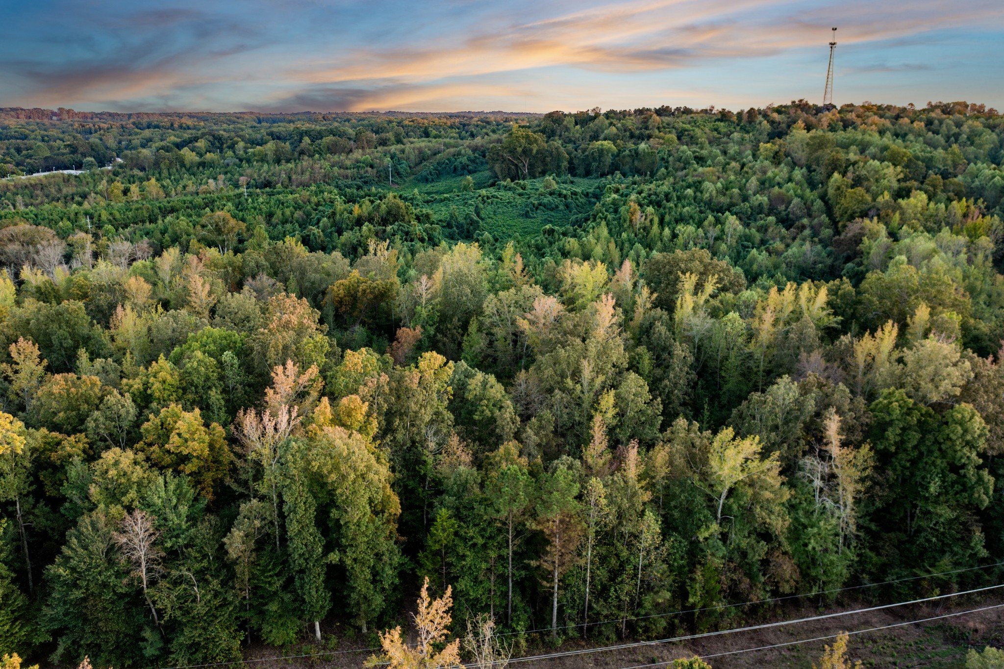 0 Jones Bend Road Paris, TN 38242 - Photo 7 of 44 a view of a city with lush green forest