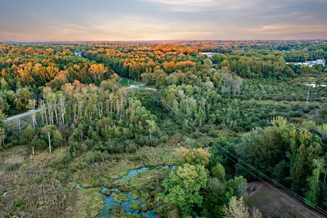 a view of a green field with lots of bushes