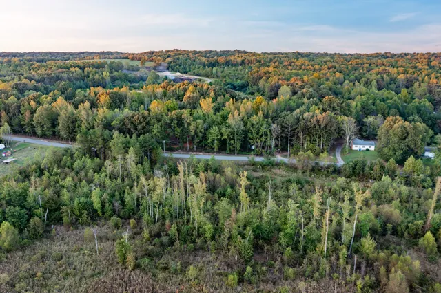 an aerial view of residential houses with outdoor space and trees