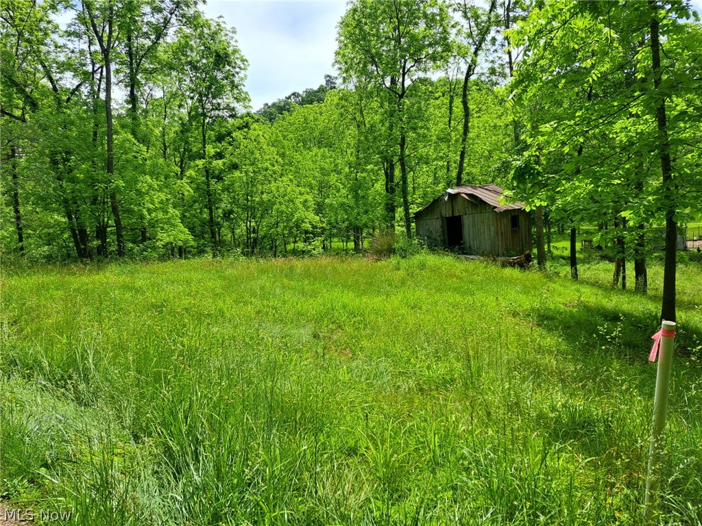 59208 Trail Run Road Byesville, OH 43723 - Photo 18 of 18