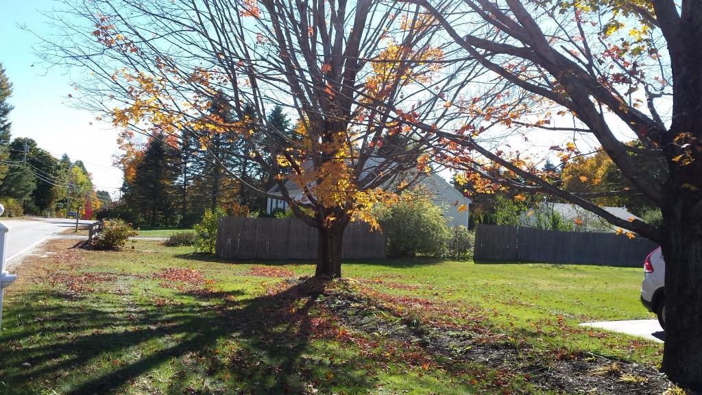 352 Greely Road Cumberland, ME 04021 - Photo 6 of 28 352 Greely Road Ext Cumberland,...