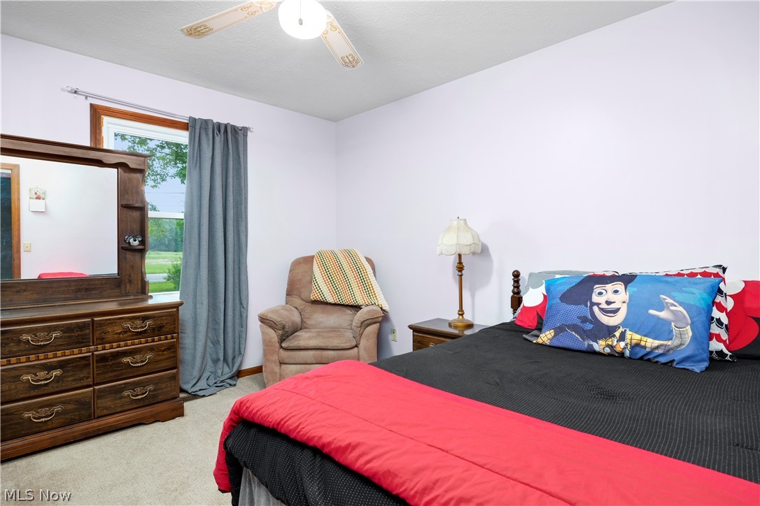 6211 Russia Road Amherst, OH 44001 - Photo 26 of 50 Carpeted bedroom with ceiling fan