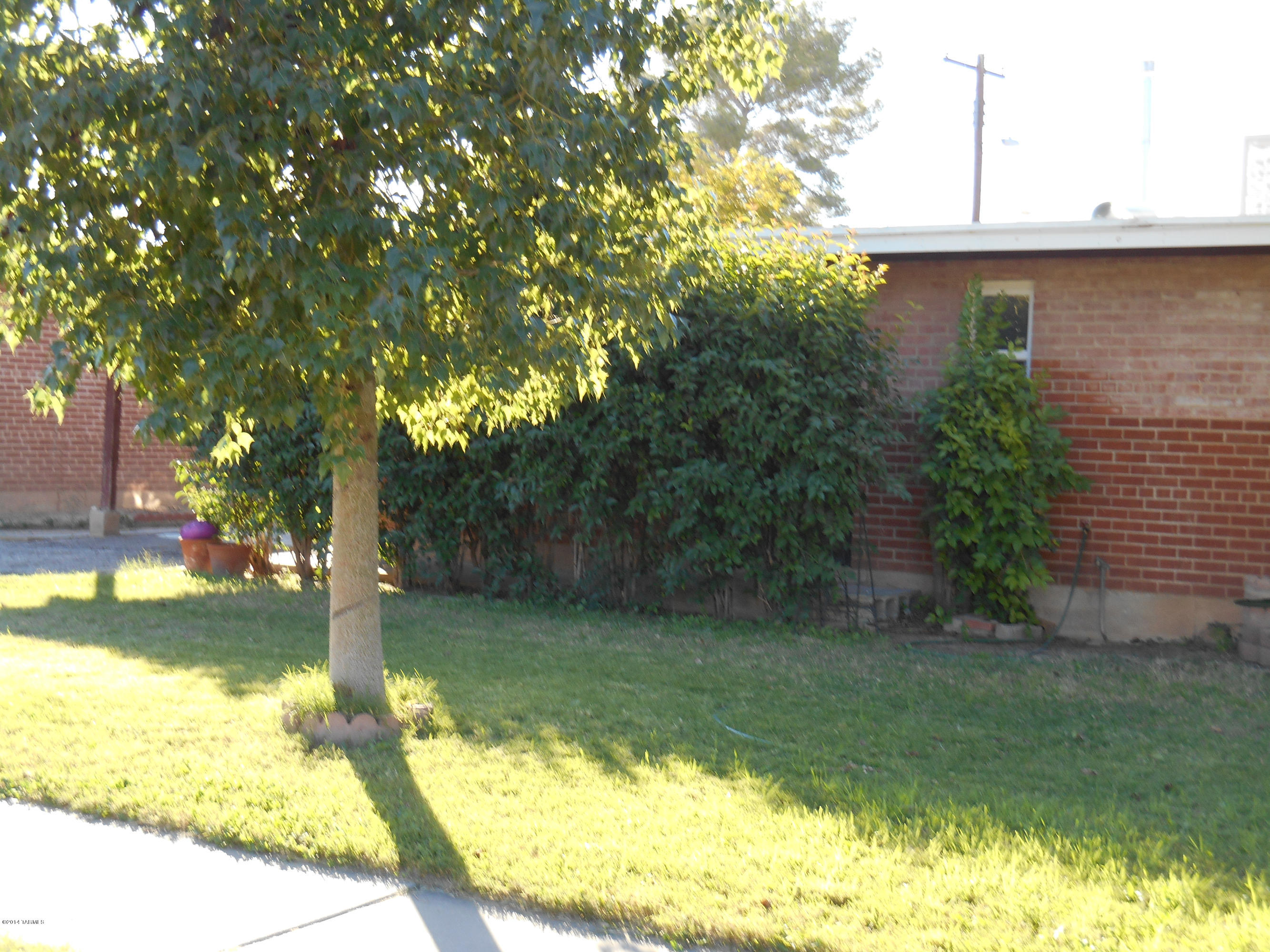 1323 West Pastime Road Tucson, AZ 85705 - Photo 8 of 13