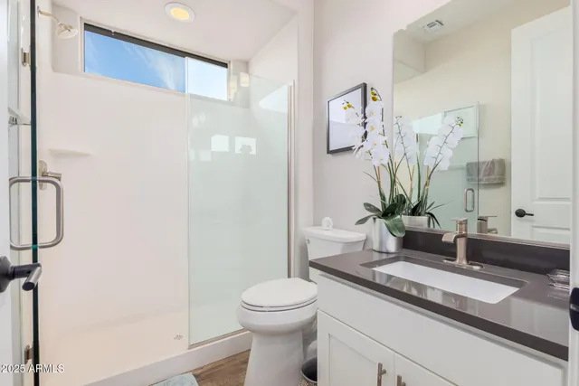 a bathroom with a sink a toilet and a large mirror