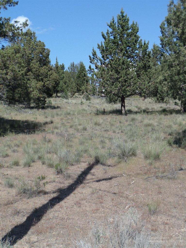 8855 Southwest Crater Loop Road Terrebonne, OR 97760 - Photo 2 of 8 Additional Photo
