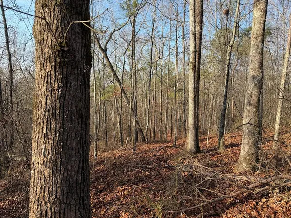 $44,000 | 0 Lower Sweetwater Road, Canton, GA 30114