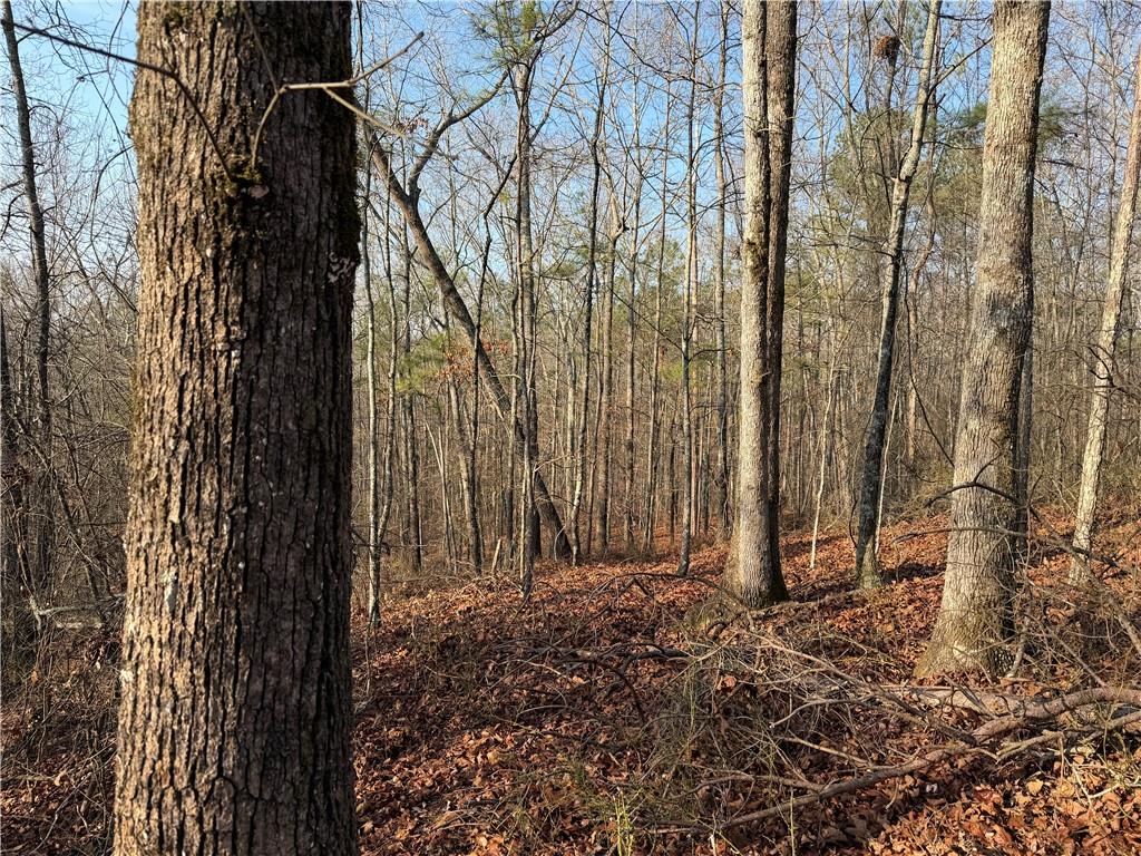 0 Lower Sweetwater Road Canton, GA 30114 - Photo 1 of 29