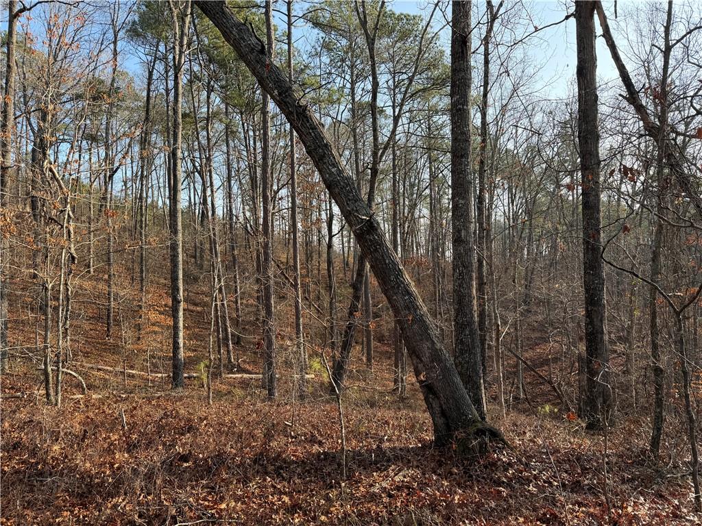 0 Lower Sweetwater Road Canton, GA 30114 - Photo 11 of 29